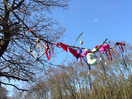 Nine Ladies Stone Circle